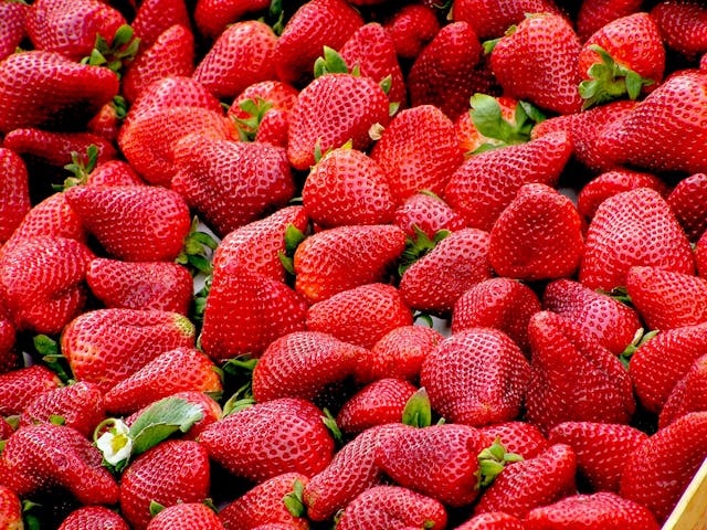 Fraise